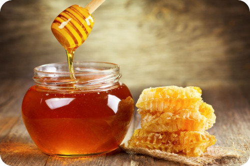 Você sabia que o melhor mel do mundo é brasileiro?